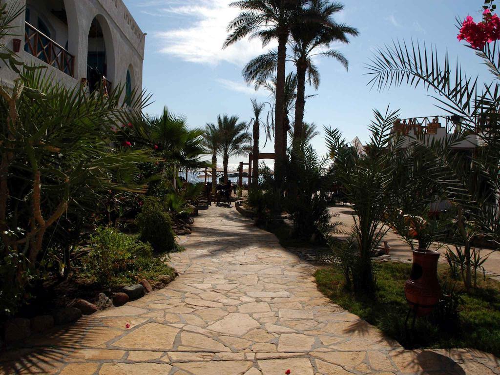 Курортный комплекс Planet Oasis 3*